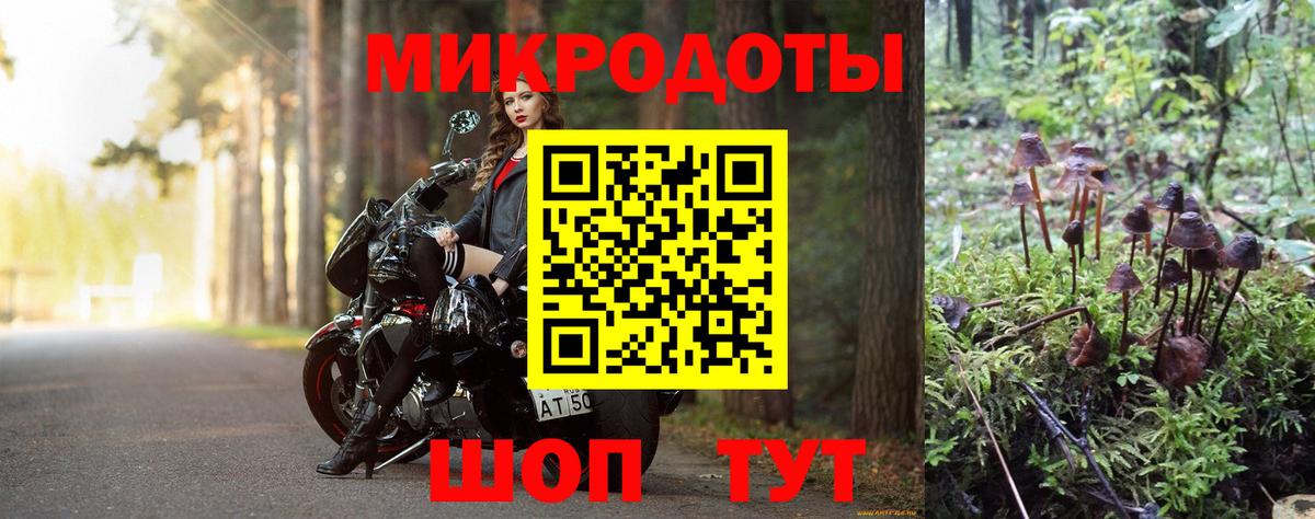Галлюциногенные грибы Magic Shrooms Дмитров