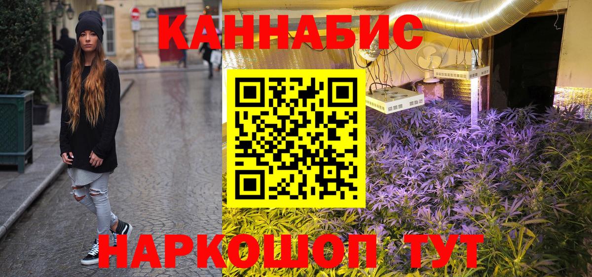 Каннабис конопля Дмитров